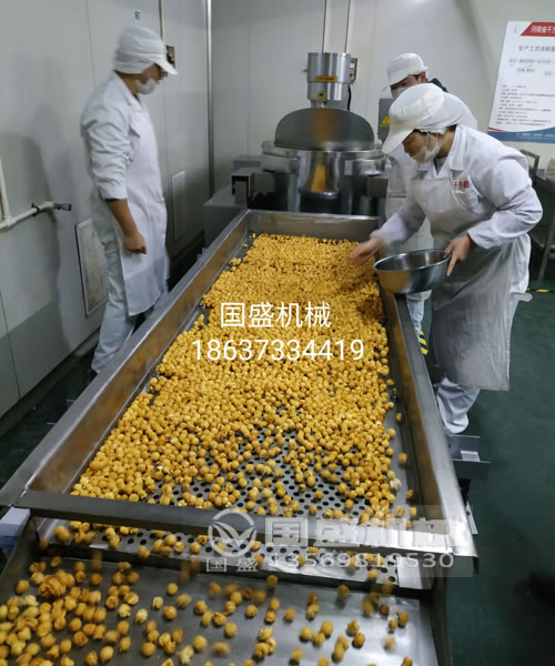 振動篩主要技術(shù)參數(shù) 振動篩主要技術(shù)參數(shù)